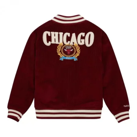 Back view of Chicago Bulls Collegiate varsity jacket