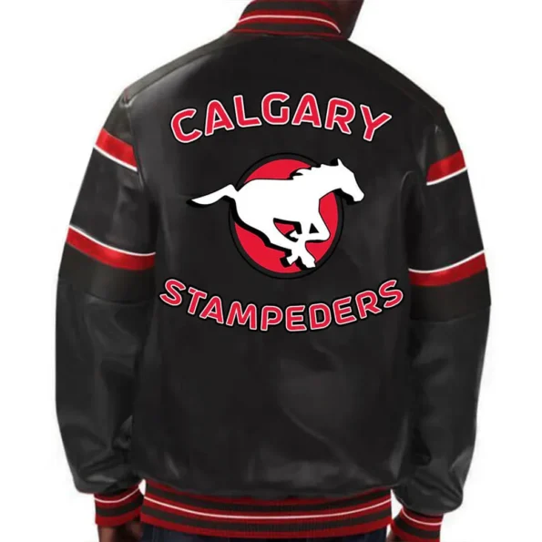 Model wearing Calgary Stampeders Striped Varsity Jacket back view.