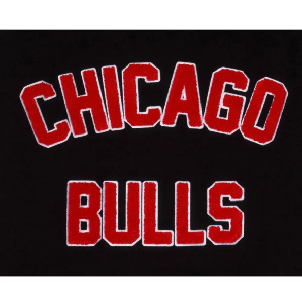 Close-up of Chicago Bulls Eastern Varsity Jacket details