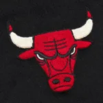 Front view Chicago Bulls vintage logo varsity jacket photo