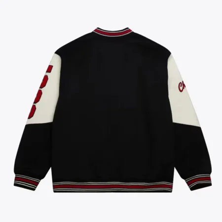 Back view of Chicago Bulls vintage logo varsity jacket.